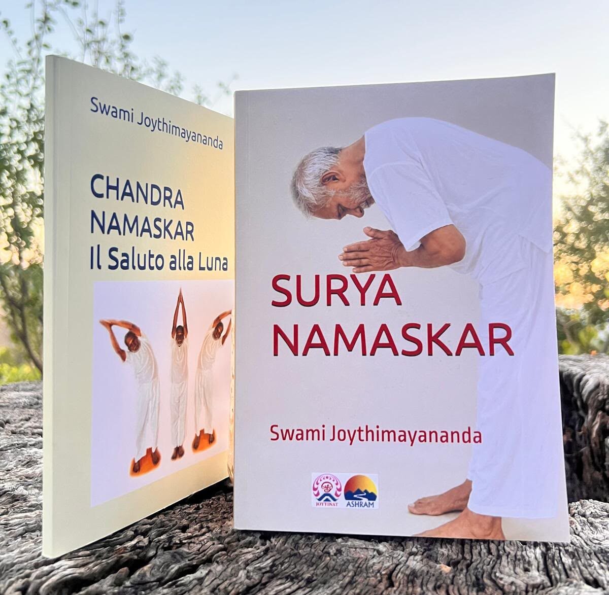 Surya Namaskar - Saluto al Sole
