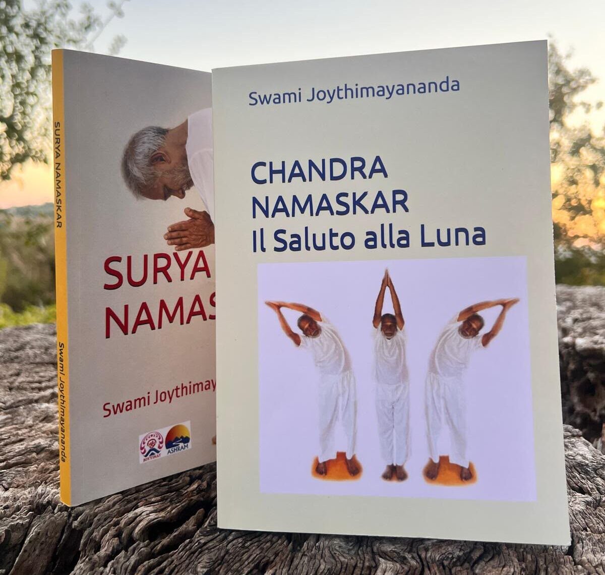 Chandra Namaskar - Il Saluto alla Luna